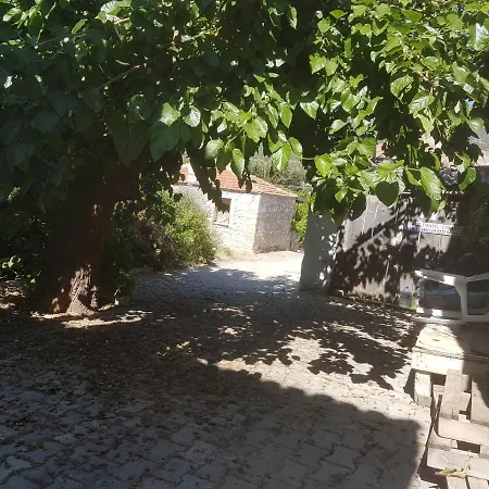 Lüks Modern Geniş Raahat Aydınlık Yazlık